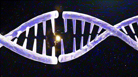 An animated 3D visualization showing a glowing golden particle repairing a broken DNA helix.