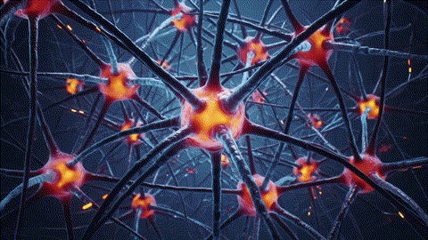 Animation of a neural network where neurons fire and form new connections.