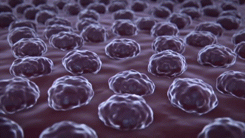 An animated 3D microscopic view of skin cells being rejuvenated by a wave of violet light.